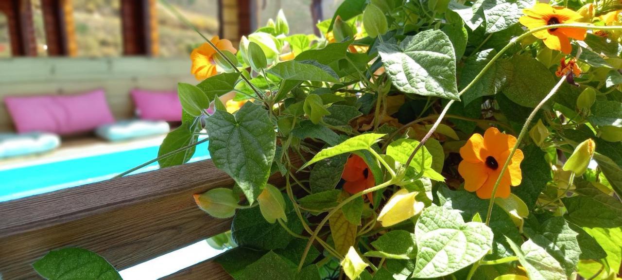 Finca Mariposa Mariposaholidays Nerja Bagian luar foto