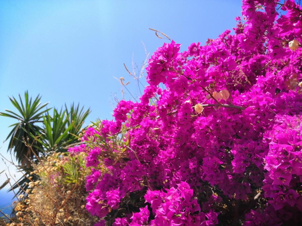 Finca Mariposa Mariposaholidays Nerja Bagian luar foto