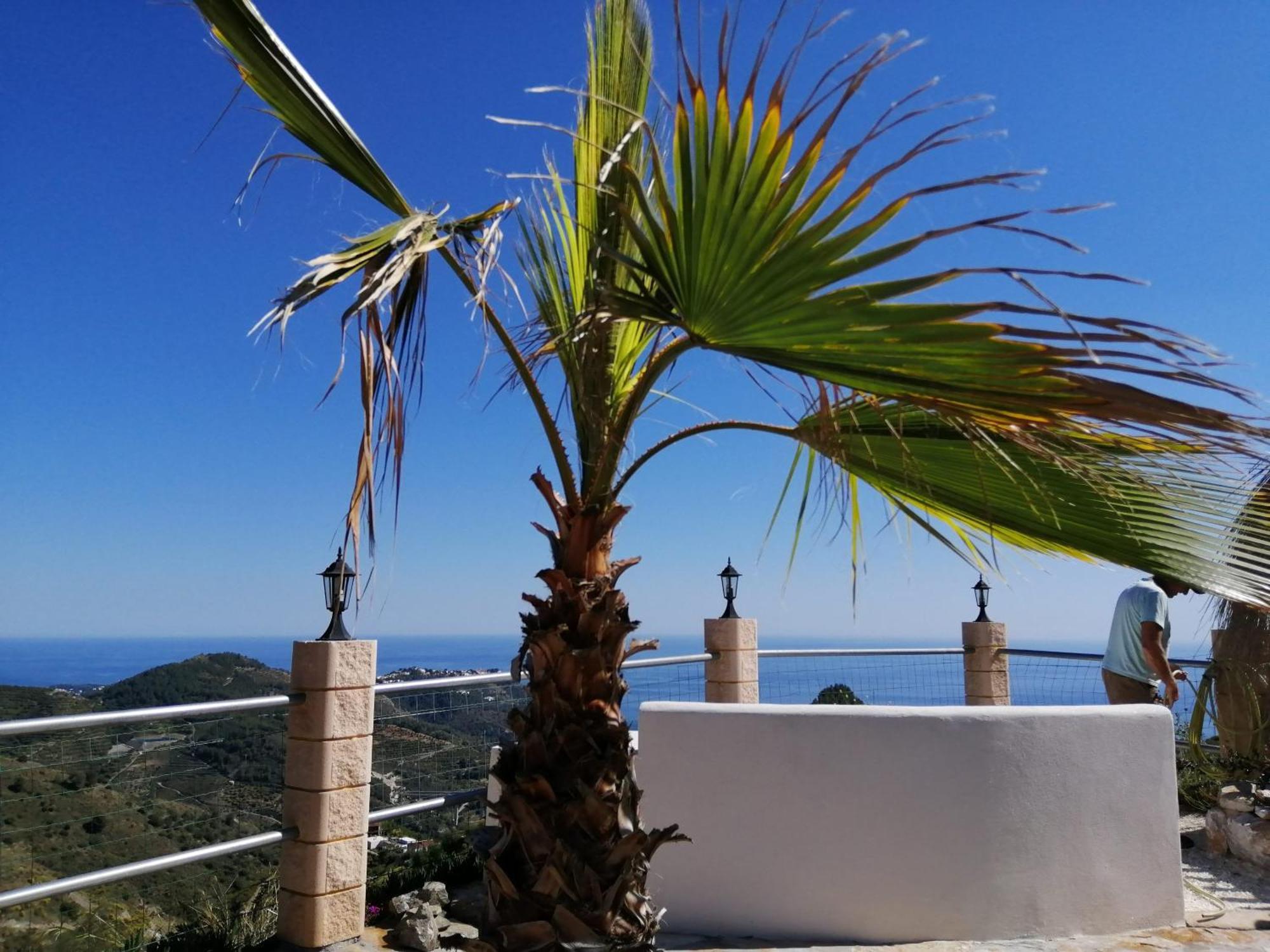 Finca Mariposa Mariposaholidays Nerja Bagian luar foto
