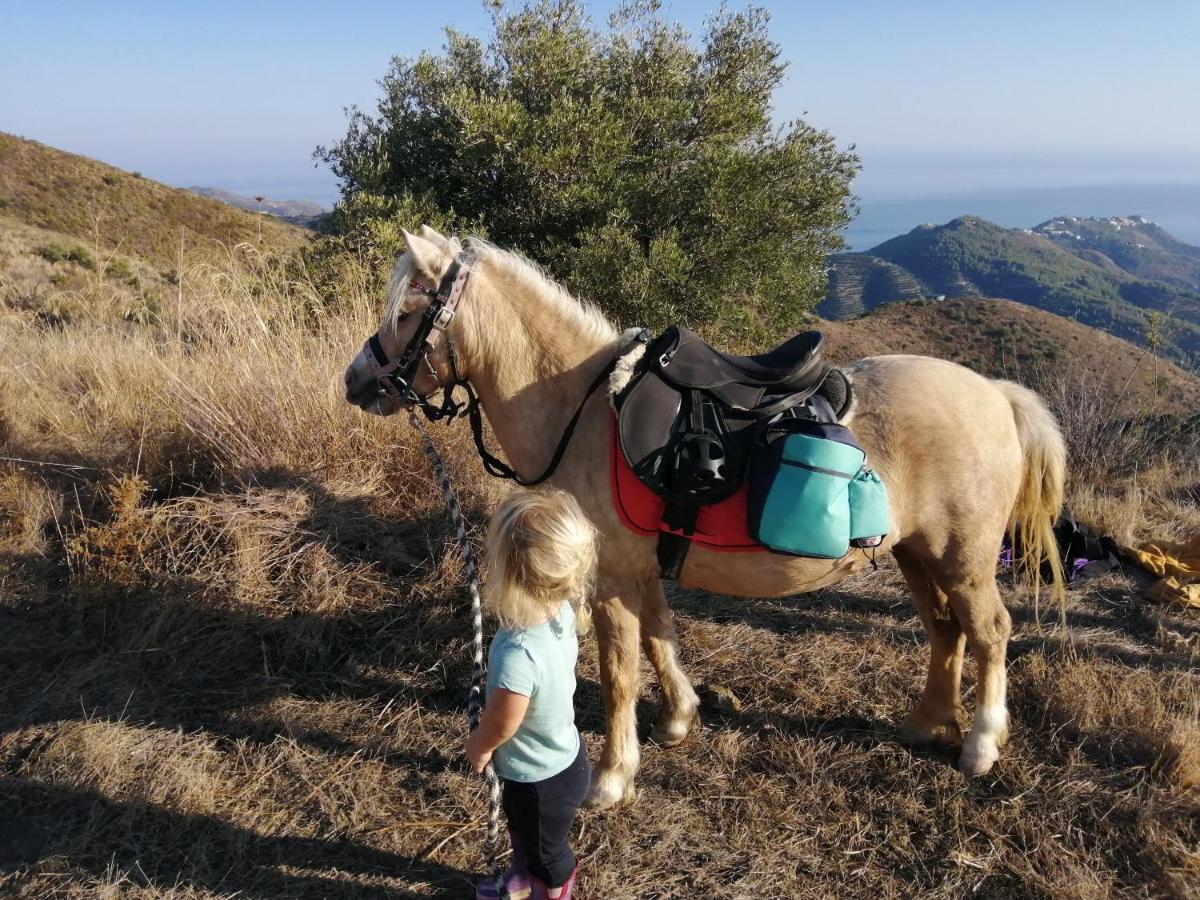 Finca Mariposa Mariposaholidays Nerja Bagian luar foto